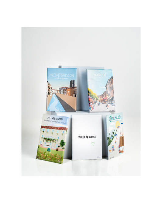 Magnet Montbrison et ses alentours